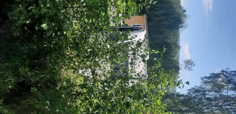 Honda CR-V • 2020 • 8,000 km 12