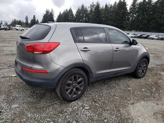 Kia Sportage • 2016 • 10,000 mi 6
