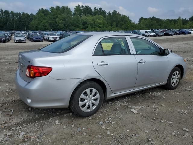 Toyota Corolla • 2010 • 10,000 mi 6