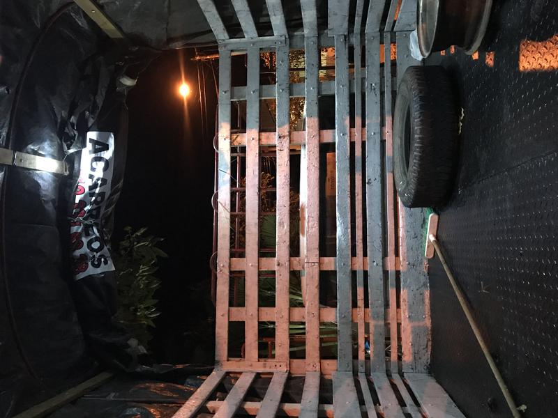 Ford 350 • 1995 • 146,000 km 6