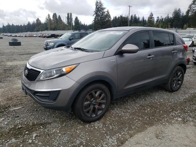 Kia Sportage • 2016 • 10,000 mi 3