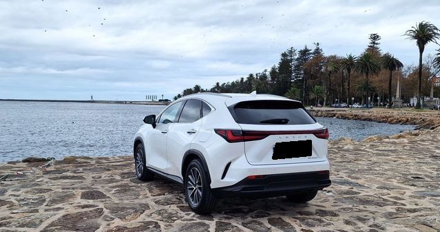 Lexus NX • 2023 • 23,000 km 3