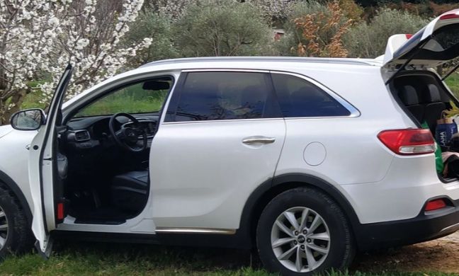 Kia Sorento • 2015 • 225,000 km 6