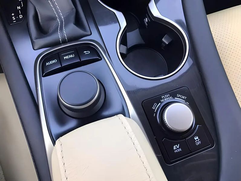 Lexus RX • 2018 • 125,000 km 9