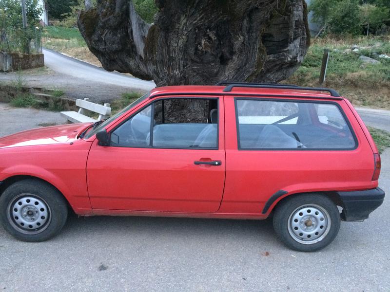 Volkswagen Fox • 1993 • 264,000 km 10