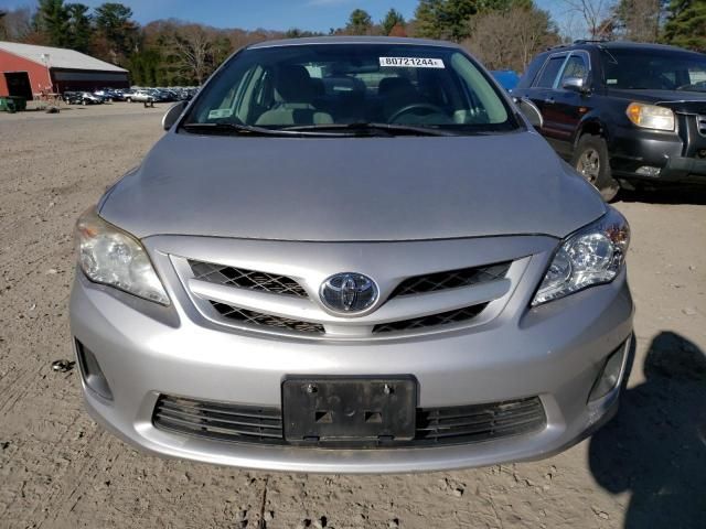 Toyota Corolla • 2012 • 10,000 mi 1