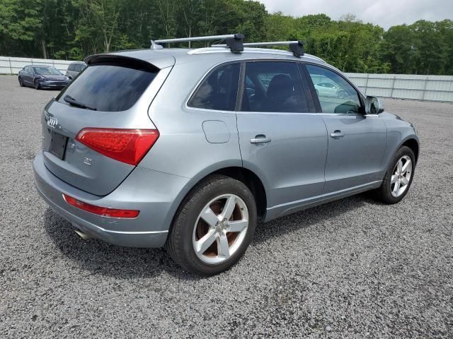 Audi Q5 • 2010 • 10,000 mi 10