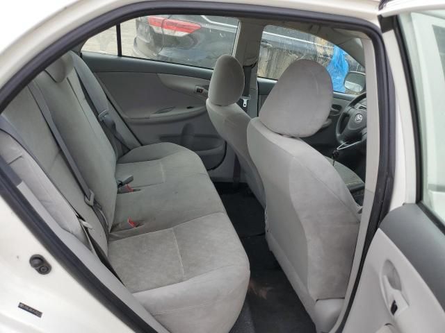 Toyota Corolla • 2009 • 10,000 mi 9