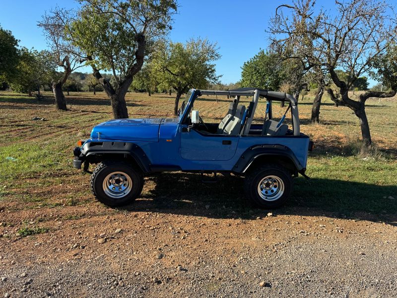 Jeep Wrangler • 1993 • 140,000 km 3