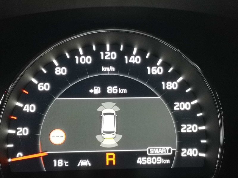 Kia Sorento • 2019 • 45,890 km 4