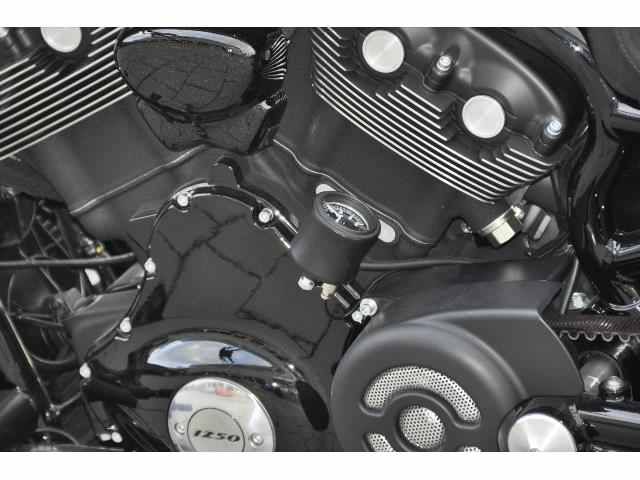 Harley Davidson custom • 2015 • 16,727 km 2