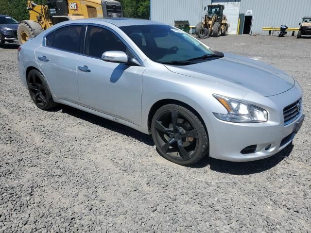 Nissan Maxima • 2010 • 10,000 mi 1