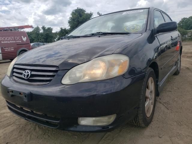 Toyota Corolla • 2004 • 12 km 5