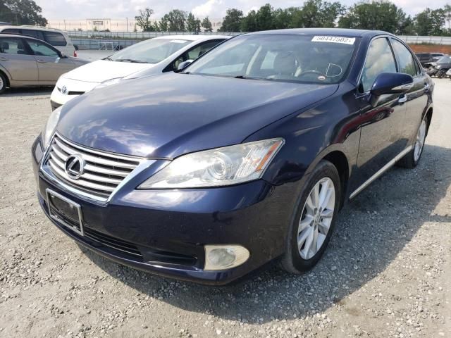 Lexus ES 350 • 2011 • 100 km 4