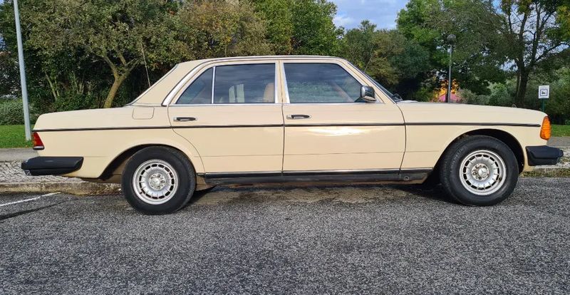 Mercedes-Benz 200 - 300 • 1979 • 496,445 km 1