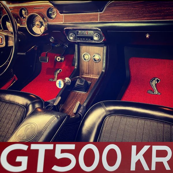 Ford Shelby GT500 • 1968 • 82,000 mi 1