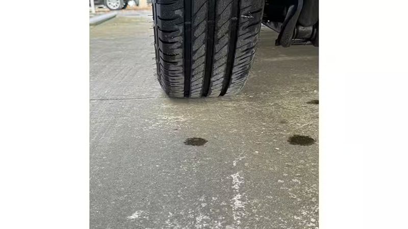 Fiat Talento • 2017 • 133,745 km 30