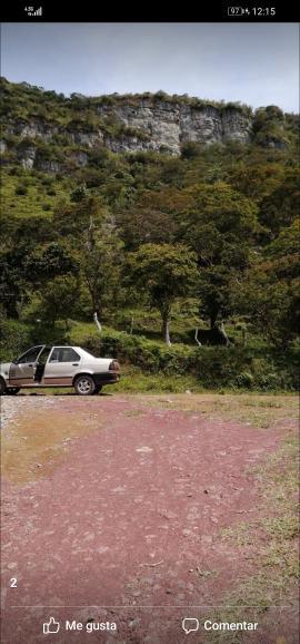 Renault 10 • 1998 • 130 km 4