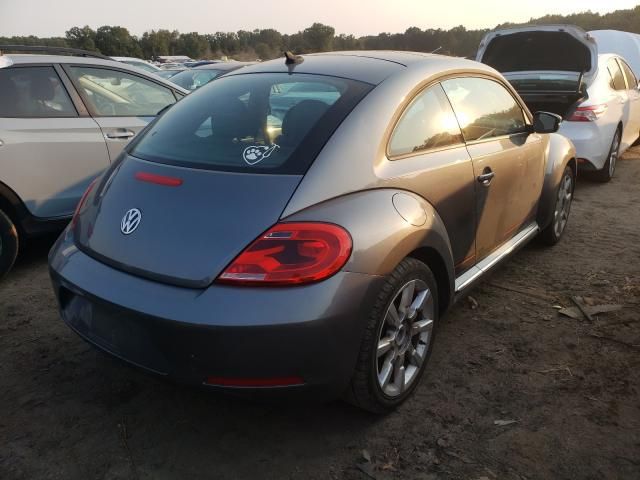 Volkswagen Beetle • 2014 • 10,000 mi 4