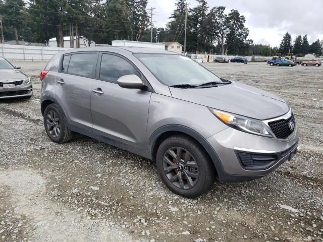 Kia Sportage • 2016 • 10,000 mi 1