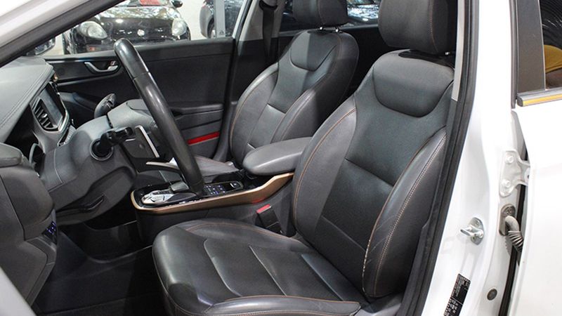 Hyundai Ioniq Electric • 2018 • 109,000 km 7