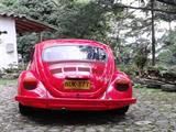 Volkswagen Beetle • 1994 • 50,000 km 4