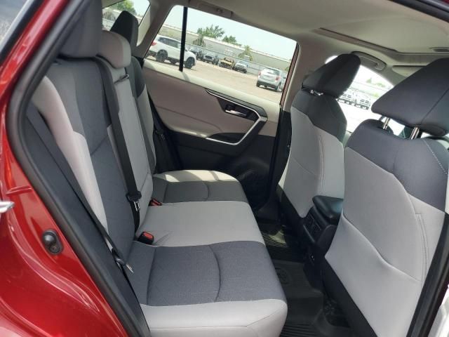 Toyota RAV4 • 2021 • 10,000 mi 9