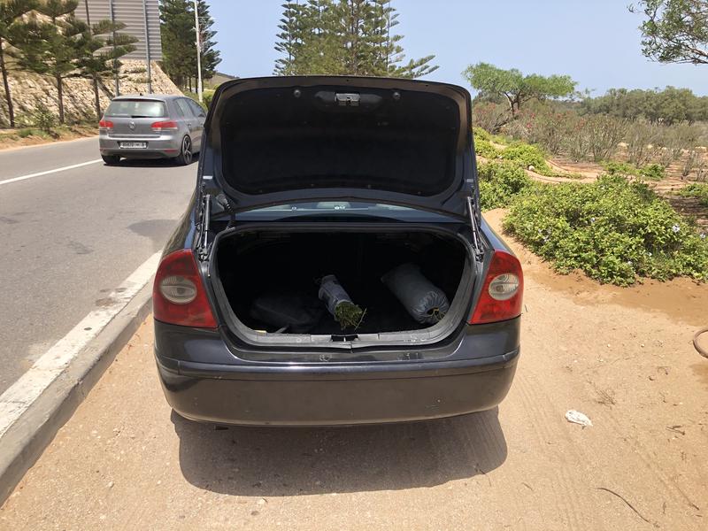 Ford Focus • 2007 • 355,000 km 4