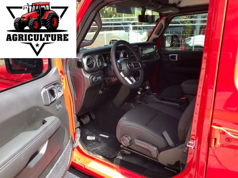 Jeep Wrangler • 2019 • 35,000 km 2