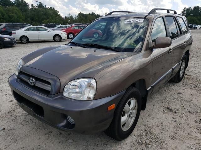 Hyundai Santa Fe • 2006 • 10,000 mi 2