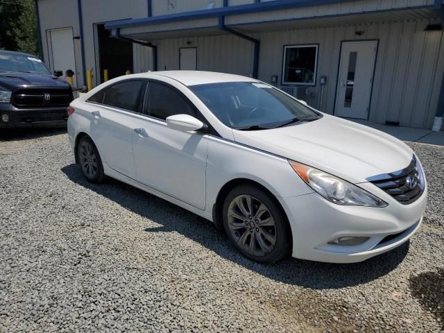 Hyundai Sonata • 2011 • 10,000 mi 1
