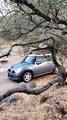 MINI Cooper S • 2003 • 150,000 km 1