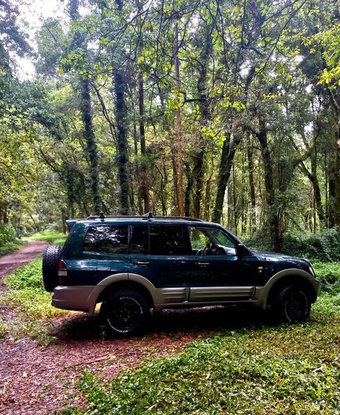 Mitsubishi Pajero • 2000 • 180,000 km 2