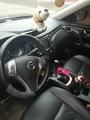 Nissan X-Trail • 2017 • 24,000 km 5
