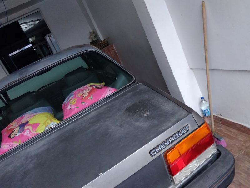 Chevrolet 1500 • 1988 • 54,000 km 1
