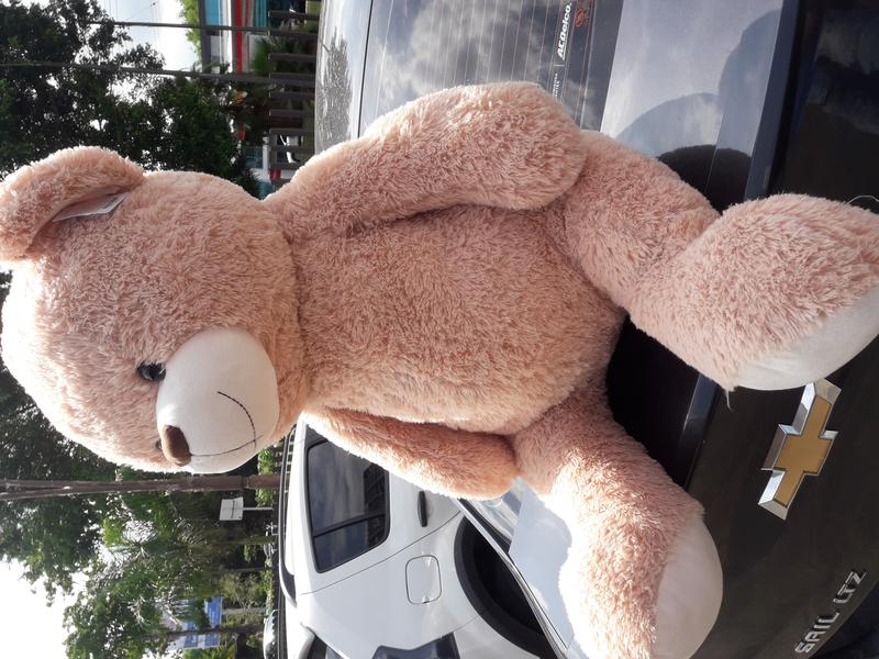 Chevrolet Sail classic • 2018 • 18,000 km 4