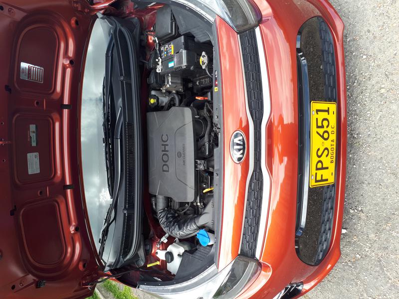 Kia Picanto • 2019 • 21,500 km 4