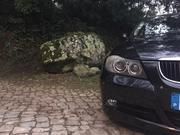 BMW Rad 3 Touring • 2006 • 208,000 km 1