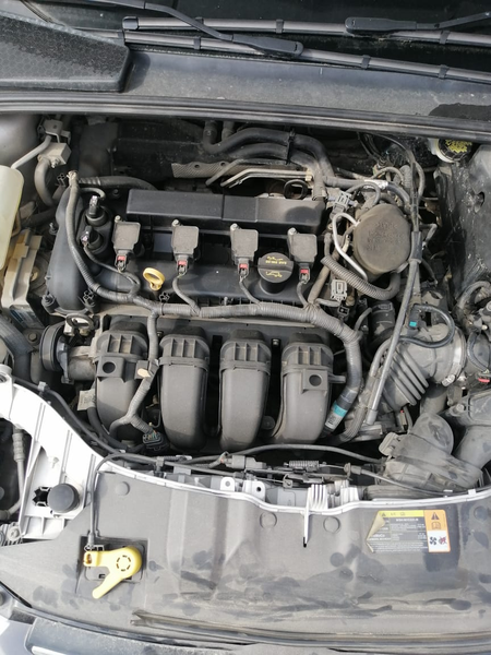 Ford Focus • 2013 • 45,000 km 6