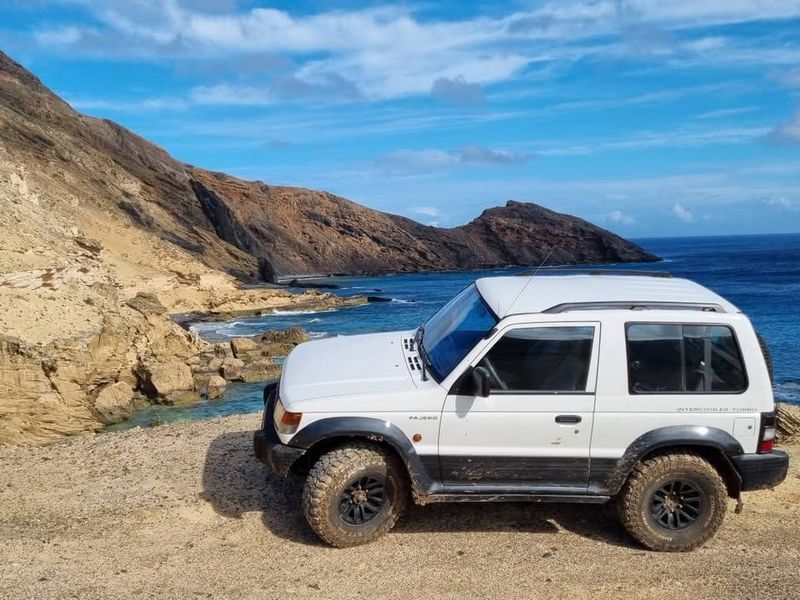 Mitsubishi Pajero • 2009 • 155,000 km 5