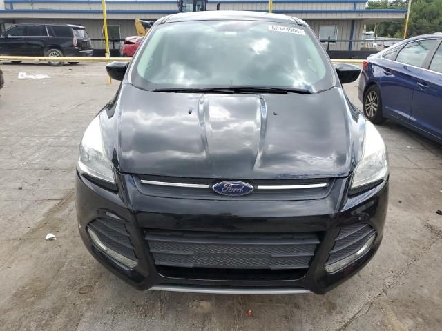 Ford Escape • 2016 • 10,000 mi 2