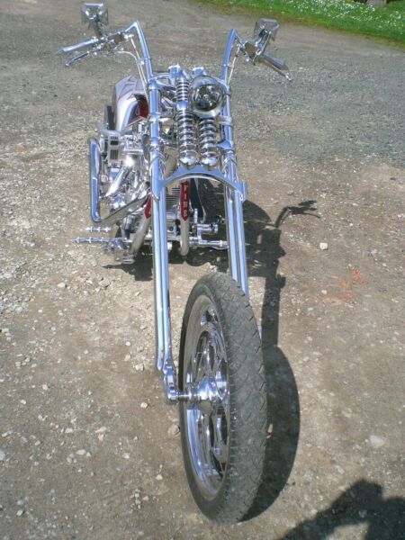 Harley Davidson custom • 2020 • 4,600 km 3