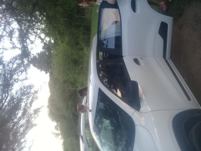 Renault 10 • 2018 • 80,000 km 2