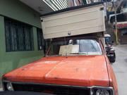 Chevrolet C-10 • 1974 • 1 km 3