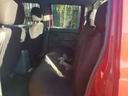 Nissan Terrano • 2013 • 110,000 km 4