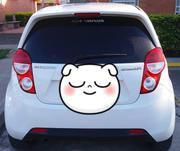 Chevrolet Spark GT • 2016 • 47,500 km 4