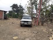 Datsun Stanza • 1981 • 5,110,523 km 2