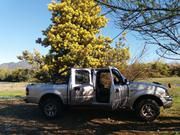 Ford Ranger • 2009 • 163,000 km 3