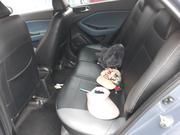 Hyundai i20 • 2018 • 7,000 km 3