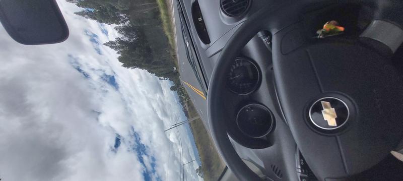 Chevrolet Aveo • 2019 • 40,000 km 3